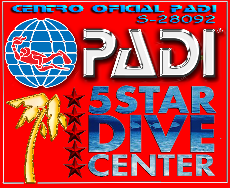 5_star_padi-dive-center_rojo.png